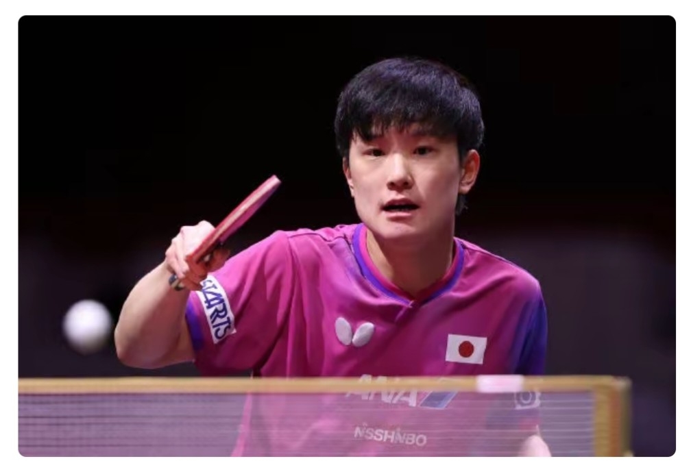 开云体育下载-德国乒乓球队强势波兰乒乓球队，张本智和高光表现的简单介绍