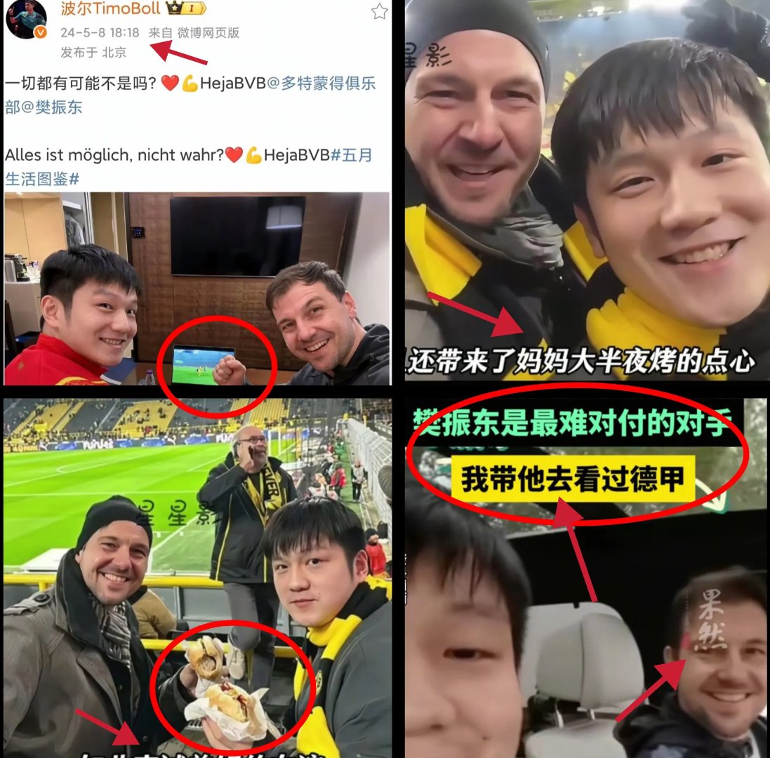 包含比利时乒乓球队绝地反击中国乒乓球队，波尔统治全场的词条