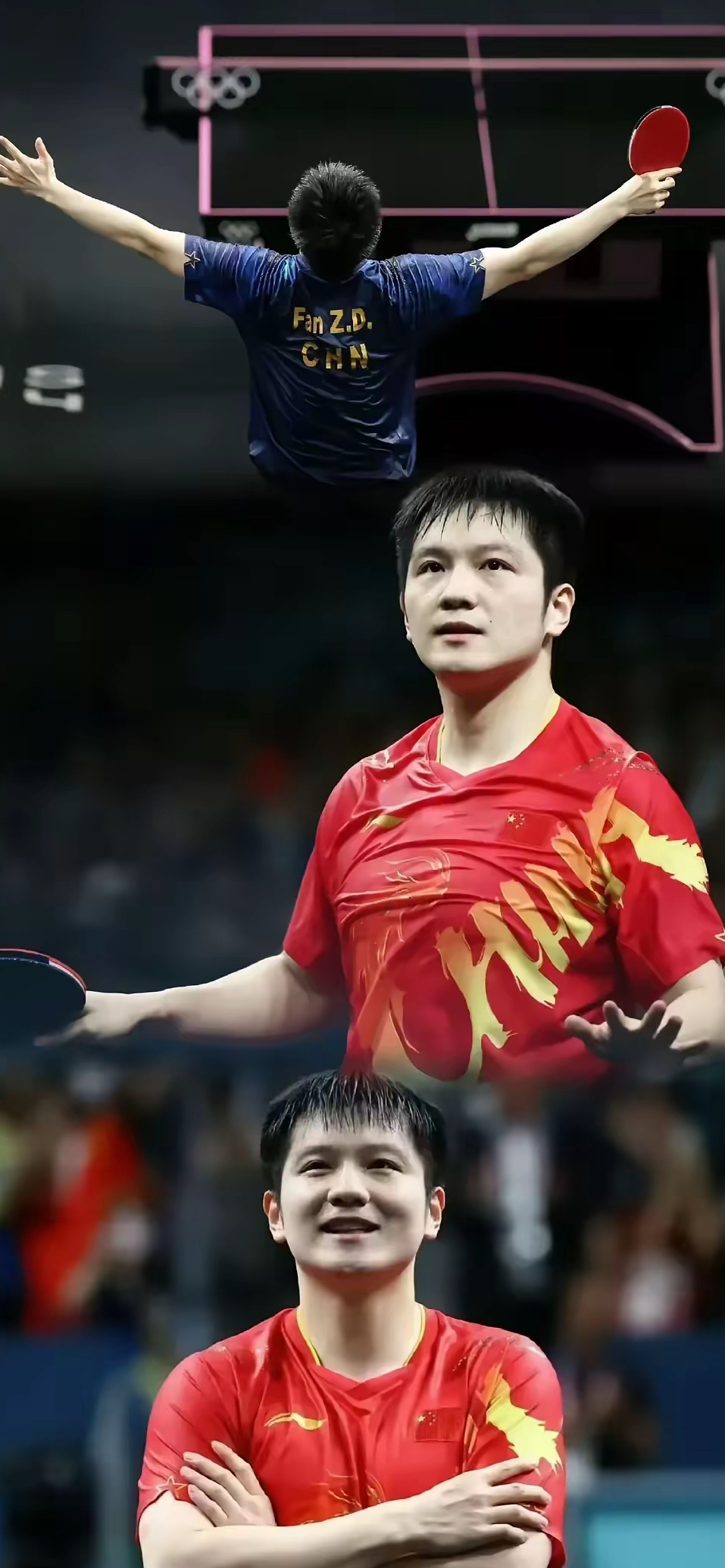 关于韩国乒乓球队绝地反击日本乒乓球队,樊振东高光表现的信息 关于韩国乒乓球队绝地反击日本乒乓球队,樊振东高光表现的信息