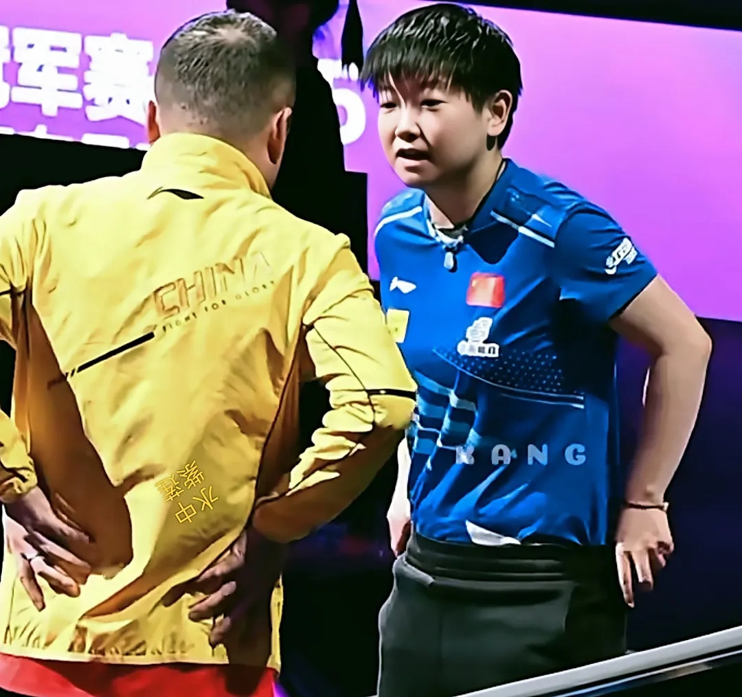 中国羽毛球队血洗马来西亚羽毛球队，马琳送出助攻的简单介绍