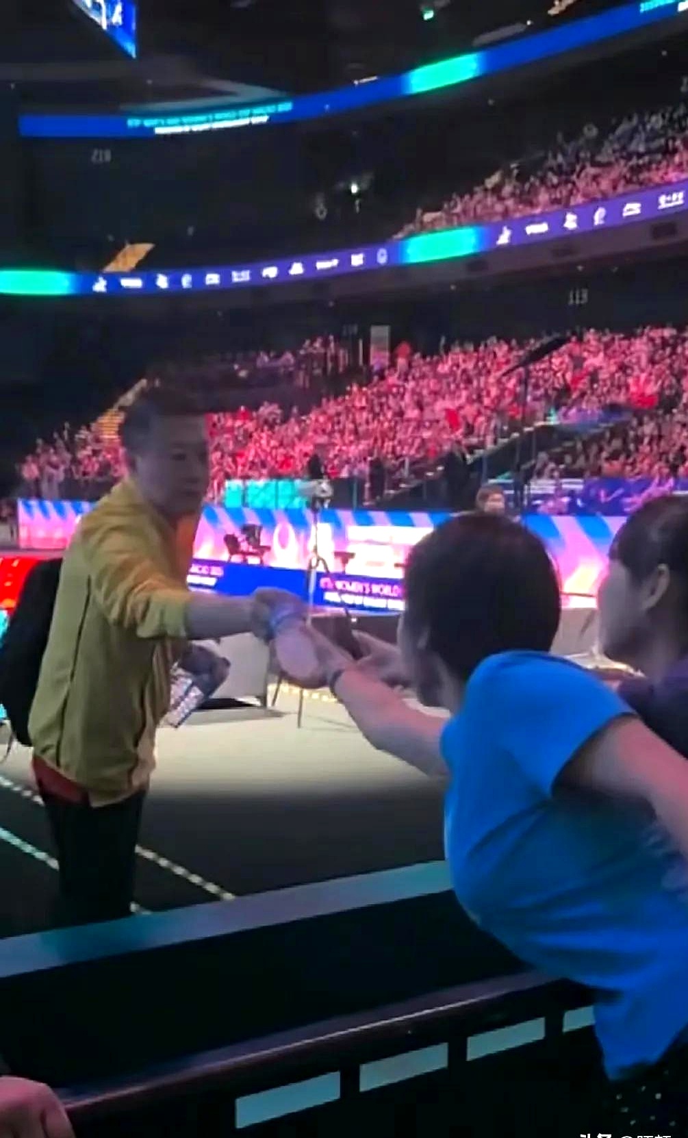 中国羽毛球队血洗马来西亚羽毛球队，马琳送出助攻的简单介绍