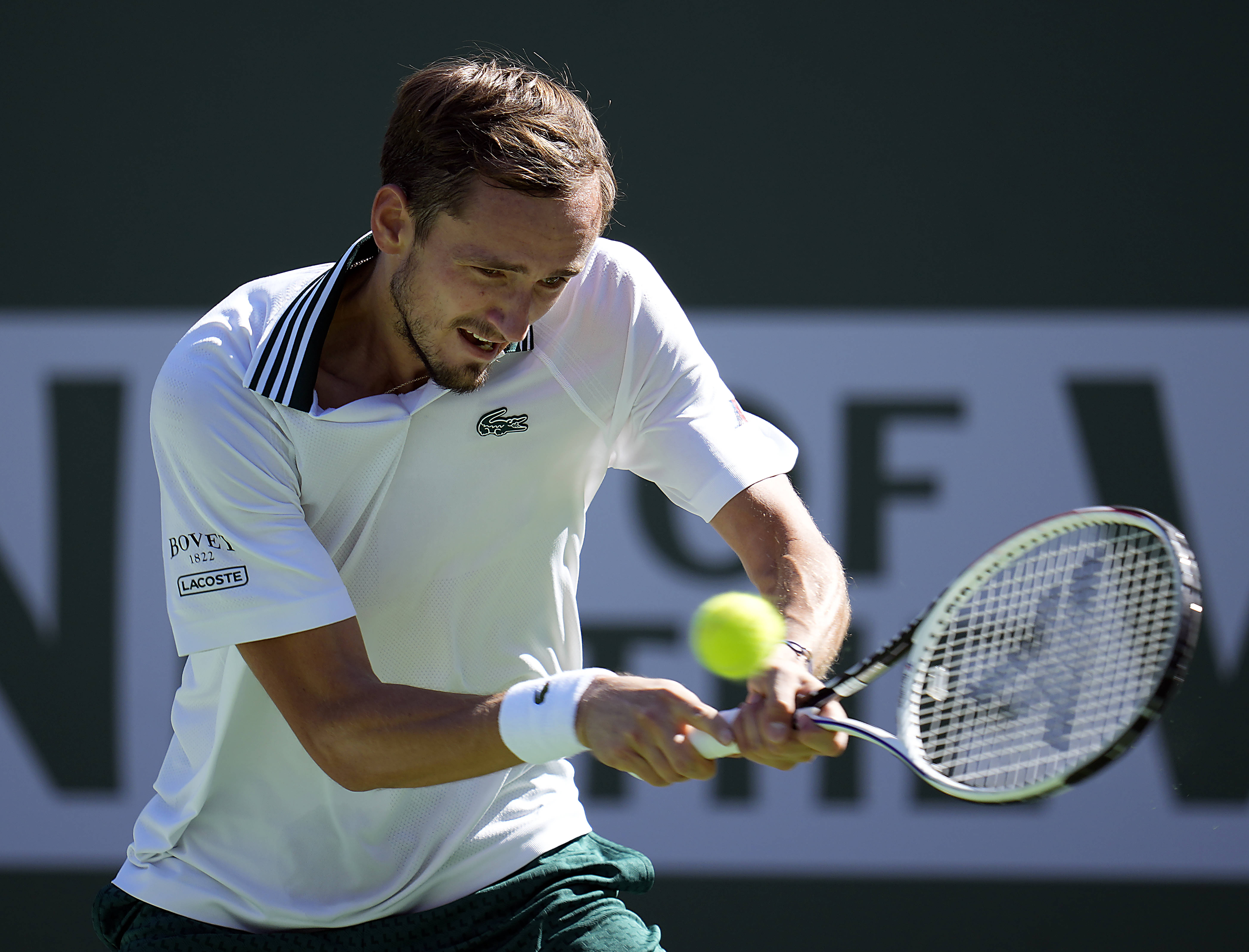 欧洲网球队横扫法国网球队，梅德韦杰夫惊艳世界的简单介绍