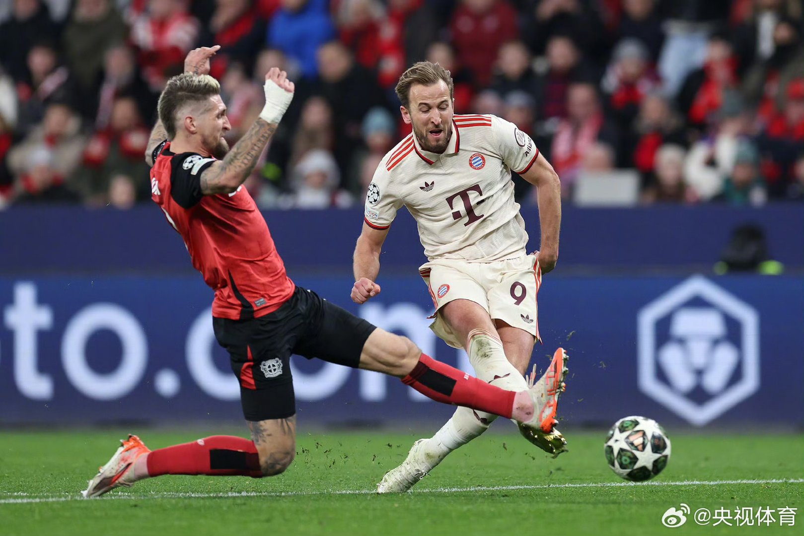 包含勒沃库森逆袭拜仁慕尼黑，豪取连胜的词条