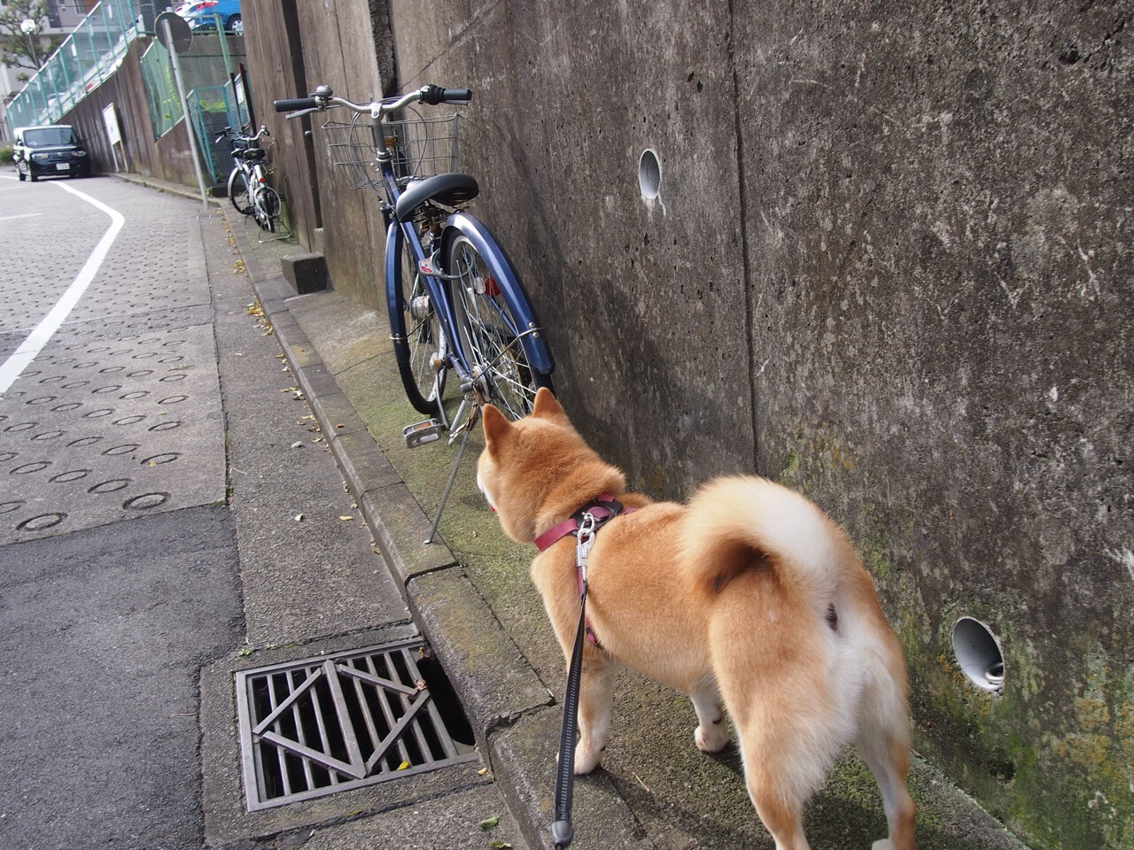 奥林匹斯山巅的加时鏖战，希腊神话再续，阿根廷黄金一代谢幕